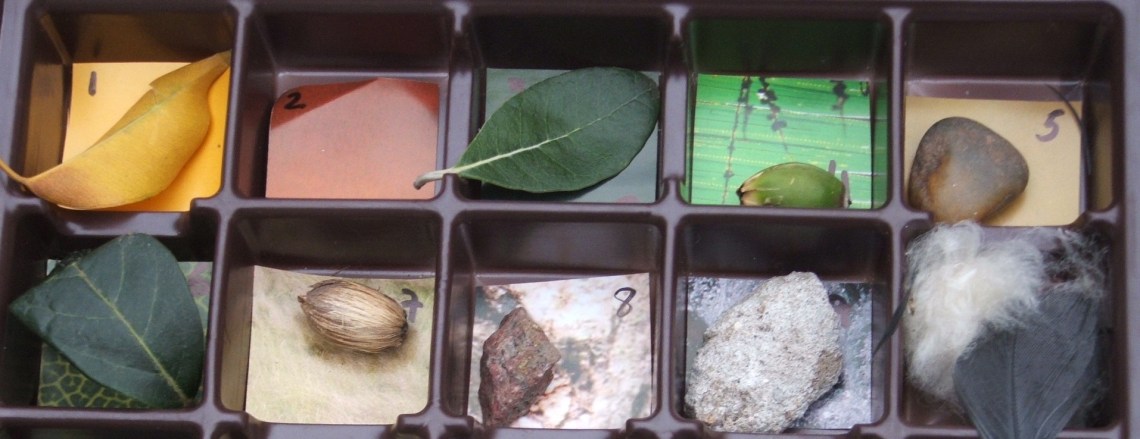 busqueda en la naturaleza 005