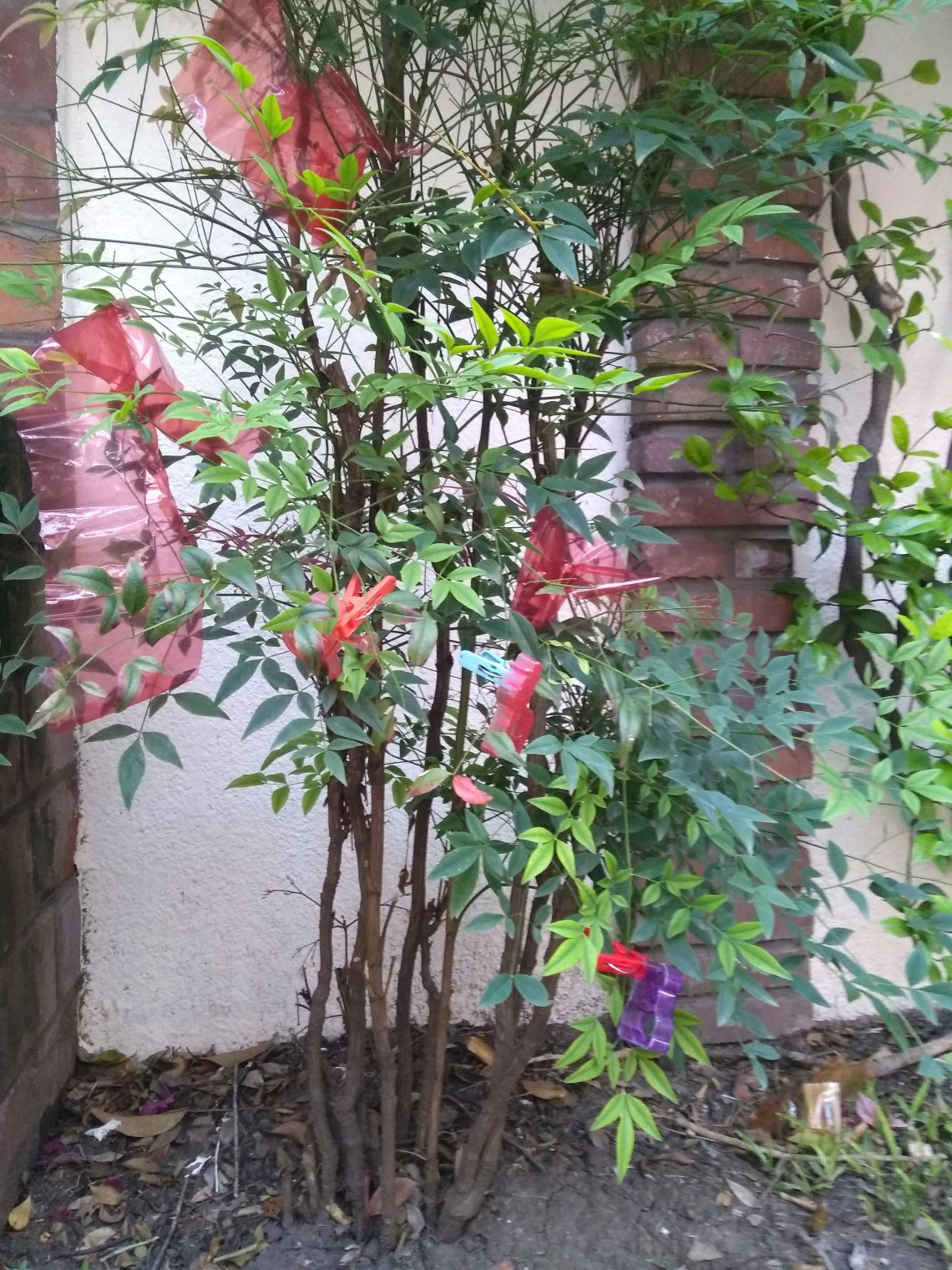 img_20200107_192929832