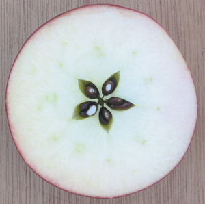 apple-star