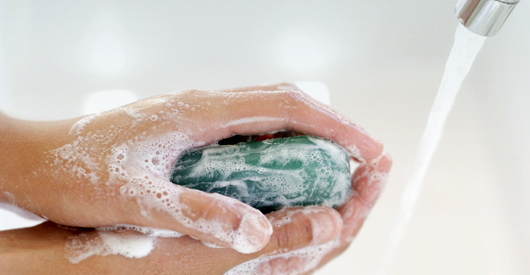 wash_hands530
